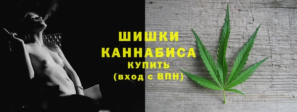 винт Инта