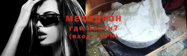 индика Каменногорск