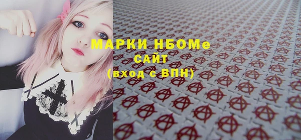 винт Инта