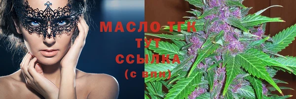 винт Инта